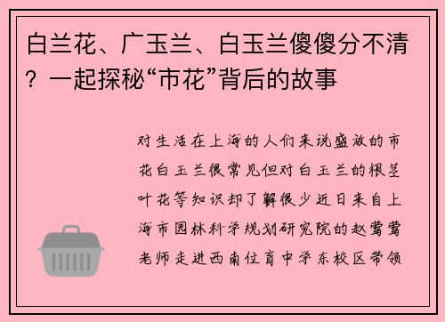 白兰花、广玉兰、白玉兰傻傻分不清？一起探秘“市花”背后的故事