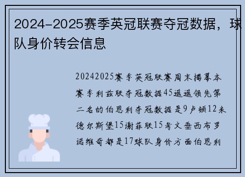2024-2025赛季英冠联赛夺冠数据，球队身价转会信息