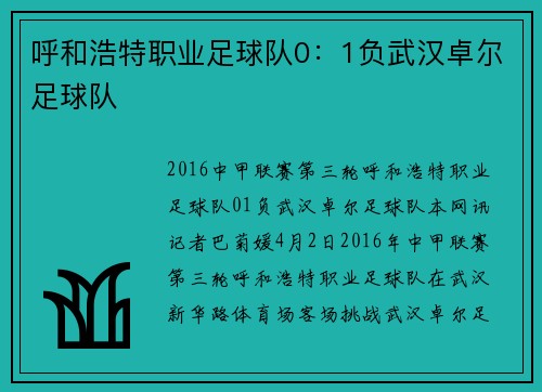 呼和浩特职业足球队0：1负武汉卓尔足球队